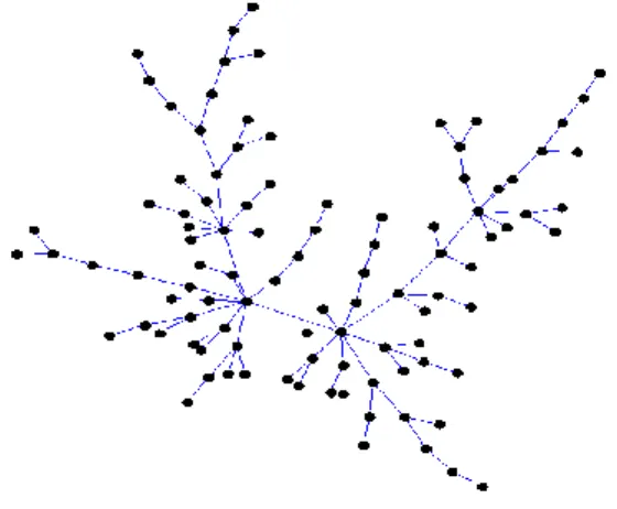 Figure 13. Réseau sans échelles. 