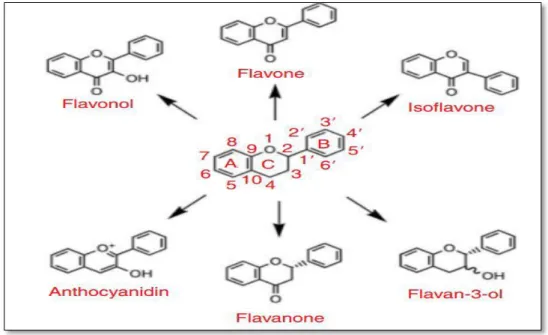 Figure 04 : Classification des flavonoïdes (Crozier et al., 2006) .  Structure des flavonoïdes  