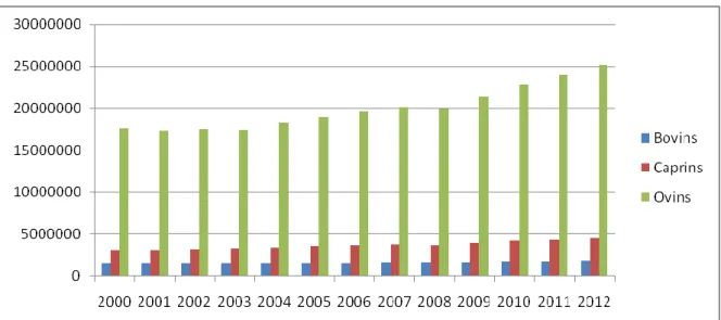 Fig. 9 : Evolution des effectifs du cheptel 