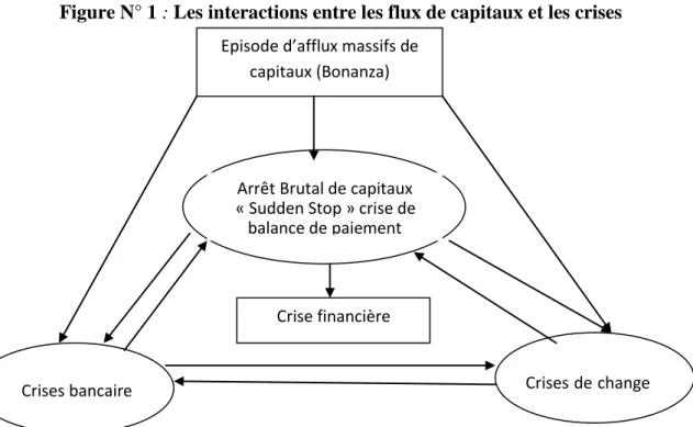 Figure N° 1 : Les interactions entre les flux de capitaux et les crises 