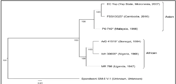 Figure  5.  ZIKV  nucleotide  and  amino  acid  alignments.  Neighbor-joining  phylogeny  generated from open reading frame nucleotide sequences of Zika virus strains