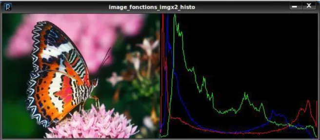 Figure I-3 : Histogramme d’une image. 