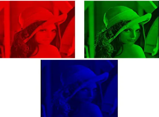 Figure 1.4 : Les trois composantes R, V et B de l’image « Lena ». 