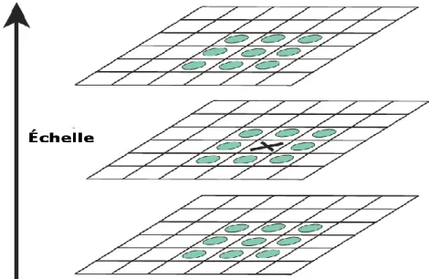 Figure 2.2:  Détection des extrema. Les maxima et minima des images des différences de  Gaussienne sont détectés on comparant un pixel (marqué par X) à ses 26 voisins dans des 