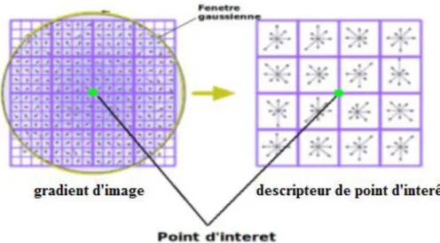 Figure 2.4 : Le descripteur du point d’intérêt est obtenu en calculant la magnitude du  gradient et l’orientation de chaque point échantillonnant dans une région autour du point 