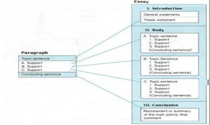Figure  1.1.  The  Correspondence  between  the  Paragraph  and  the  Essay  (Oshima  &amp; 
