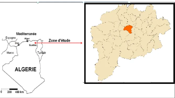 Figure 01 : Situation géographique de la wilaya de Guelma. 