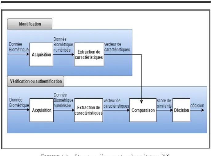 Figure 1.7 – Structure d’un système biométrique [22].