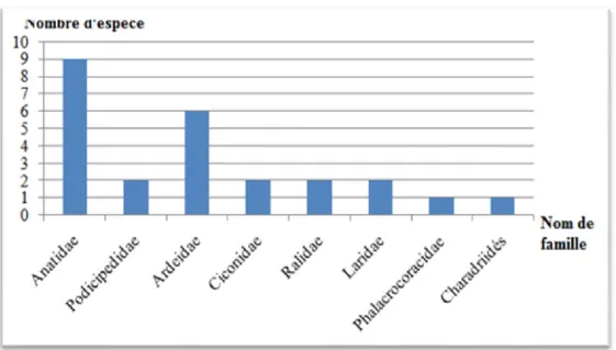 Figure 09 : Présentation des familles de l’avifaune aquatique de la wilaya de Mila. 