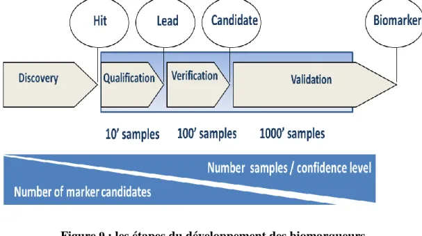 Figure  9  : les étapes du développement des biomarqueurs 
