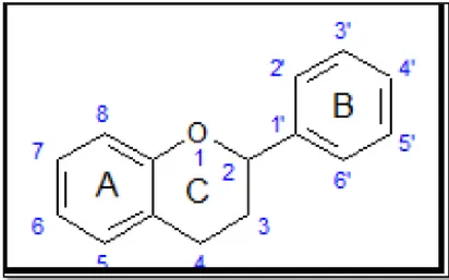 Figure 4 : Structure de base des flavonoïdes (Dacosta, 2003)  3.2. Propriétés biologiques des polyphénols  