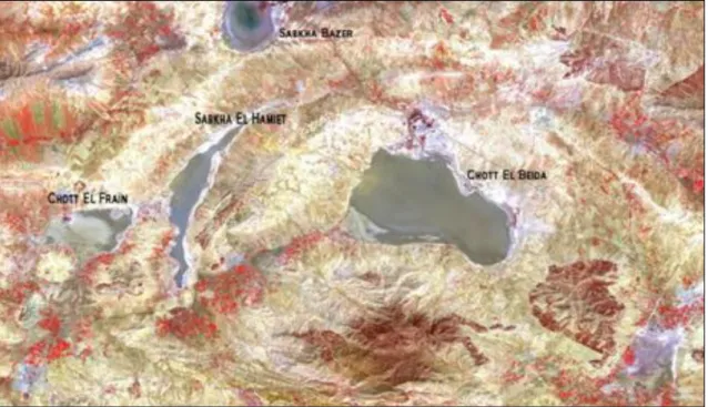 Figure 3: Photographie Satellite du bassin versant d’El Eulma (Algérie) (Bouali et  Brahimi,  2011)
