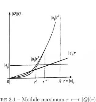 Figure 3.1 – Module maximum r 7−→ | Q | (r)