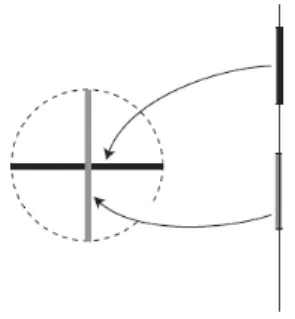 Figure 3.4 – Image d’une immersion injective qui n’est pas une sous-variété