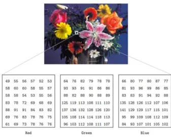 Figure 2.4 : Example of an image and its RGB color space values [18].