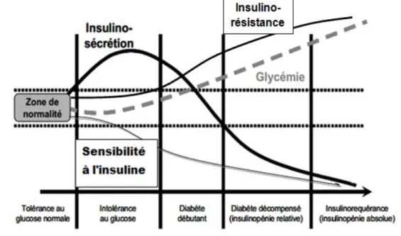 Figure 02 :    Histoire naturelle du diabète de type 2(Blicklé, 1999). 