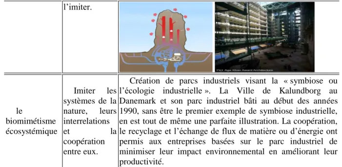 Tableau 2. Les niveaux d’application du biomimétisme  