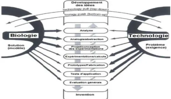 Figure 14 : Internationale de Normalisation (ISO) (source : Rencontre AFNOR Biomimétisme du  15/6/2012