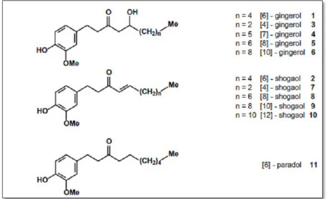 Figure 3 : Structure des principaux composants actifs du gingembre : gingérol, shogaol et  le 6-paradol (Ali et al., 2008) 