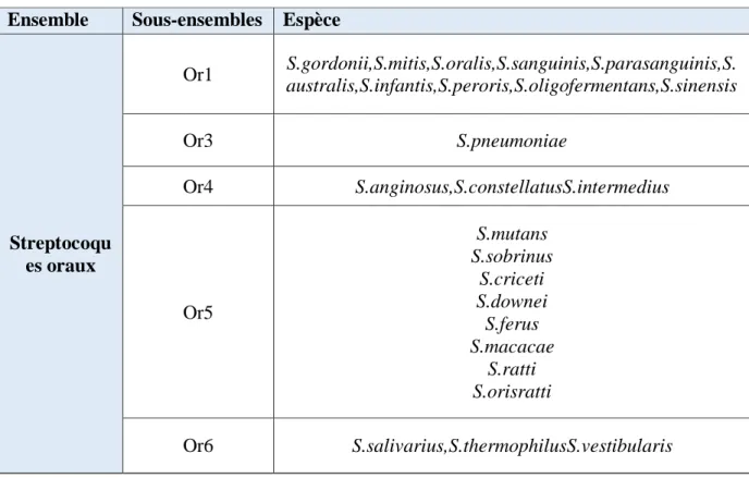 Tableau 03 : Classification des Streptocoques oraux en sous-ensembles (Algoud, 2018),  Ensemble  Sous-ensembles  Espèce 