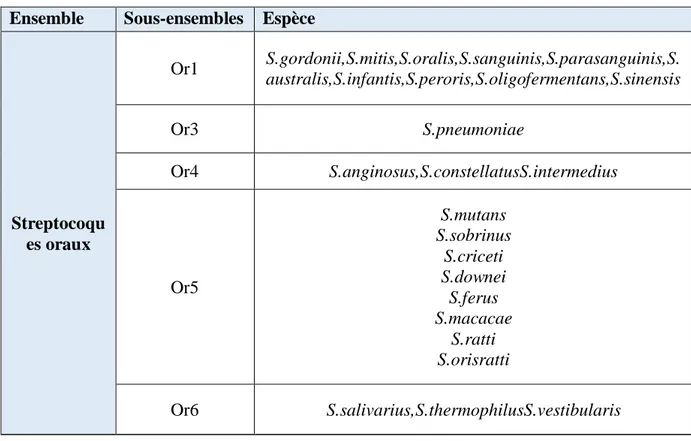 Tableau 03 : Classification des Streptocoques oraux en sous-ensembles (Algoud, 2018),  Ensemble  Sous-ensembles  Espèce 