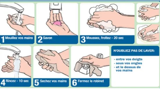 Figure 2. Les étapes de lavage mains [20]. 