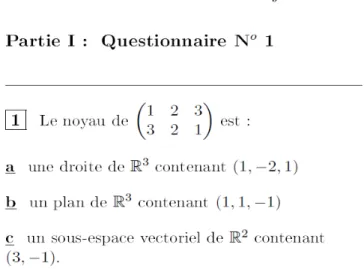 Figure 1: Extract from the MCQ part of the subject of Vector computing given to UPMC in January 2008.