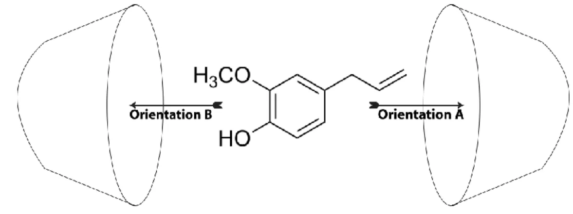Figure 1: The proposed structures of eugenol / β-CD complex for A and B orientations. 