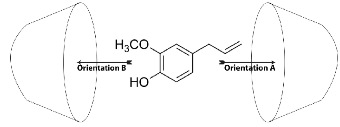Figure 1: The proposed structures of eugenol / β-CD complex for A and B orientations. 