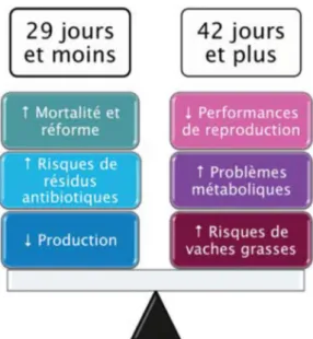 Figure 7. Systère d’alimentation selon un tarissement conventionnel (60 Jours) ou  Court (35 Jours), ( D Santschi, 2011 ) 