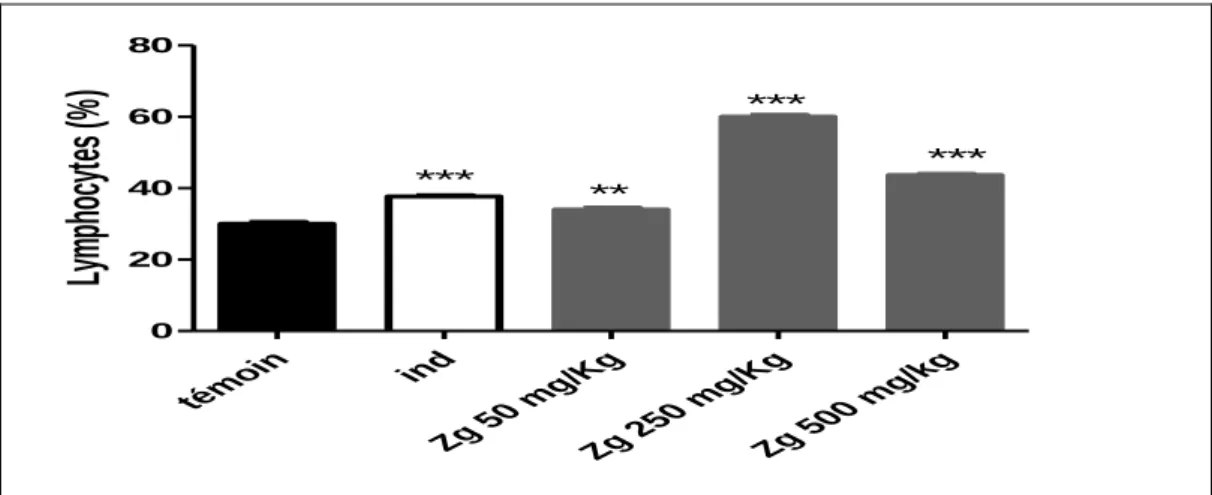 Figure 22: Taux des lymphocytes circulants dans le sang des souris. Après 24h  de  traitement  des  souris  par  les  différentes  doses  de  l’extrait  aqueux  de  Zg,  50  µg/kg de l’indométacine (ind) ou 1 ml de NaCl 0,9, le taux des lymphocytes est  év