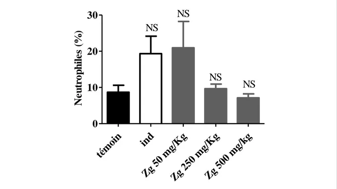 Figure 17  :  Taux  des  neutrophiles  évalués  par  FNS.  Une  heure  avant  l’induction  de  l’œdème par le xylène, Les souris sont traités par voie intra péritonéale par les doses (50,  250  ou  500  mg/Kg)  de  l’extrait  méthanolique  de  Zygophyllum 