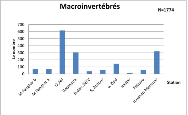 Fig. 4.1:Répartition  des macroinvertébrés dans les différentes stations de la Numidie  Occidentales Nord - Est algérien 