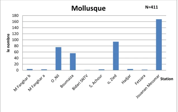Fig. 4.7:Répartition des mollusques dans les différentes stations de la Numidie Occidentales  Nord-Est algérien 