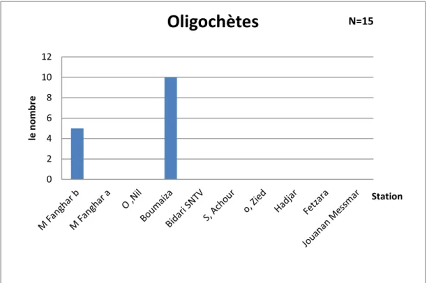 Fig. 4.9:Répartition des oligochètes dans les différentes stations de la Numidie Occidentales  Nord -Est algérien 