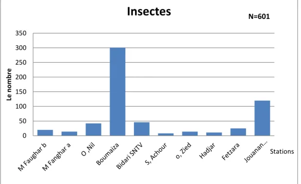 Fig. 4.11:Répartition  des insectes dans les différentes stations de la Numidie Occidentales  Nord -Est algérien 