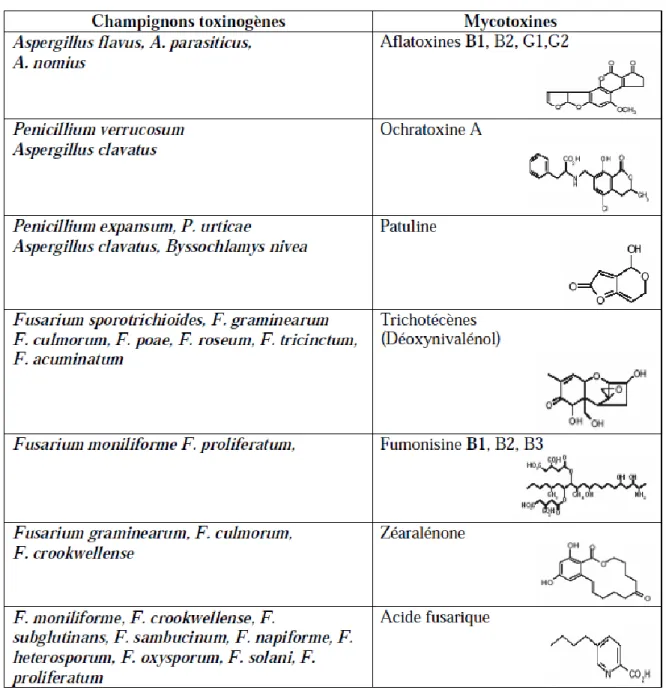 Tableau 2 : Les champignons et leurs mycotoxines (Yiannikouris &amp; Jouany, 2002). 