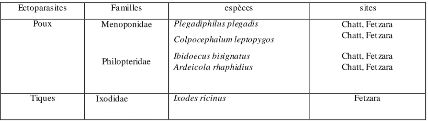 Tableau 5.1. Les espèces d‟ectoparasites  isolées chez  l‟Ibis  falcinelle  Plegadiphilus plegadis  pendant l‟année de reproduction 2010 à Chatt et Fetzara