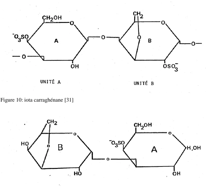 Figure 11 : kappa carraghénane [31] 