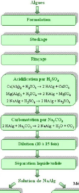 Figure 17 : Procédé industriel d’extraction de l’acide alginique : méthodes directe et indirecte  