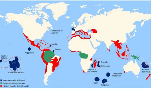 Figure 12 : Carte du monde figurant les principaux centres d'endémisme 