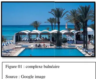 Figure 01 : complexe balnéaire Source : Google image