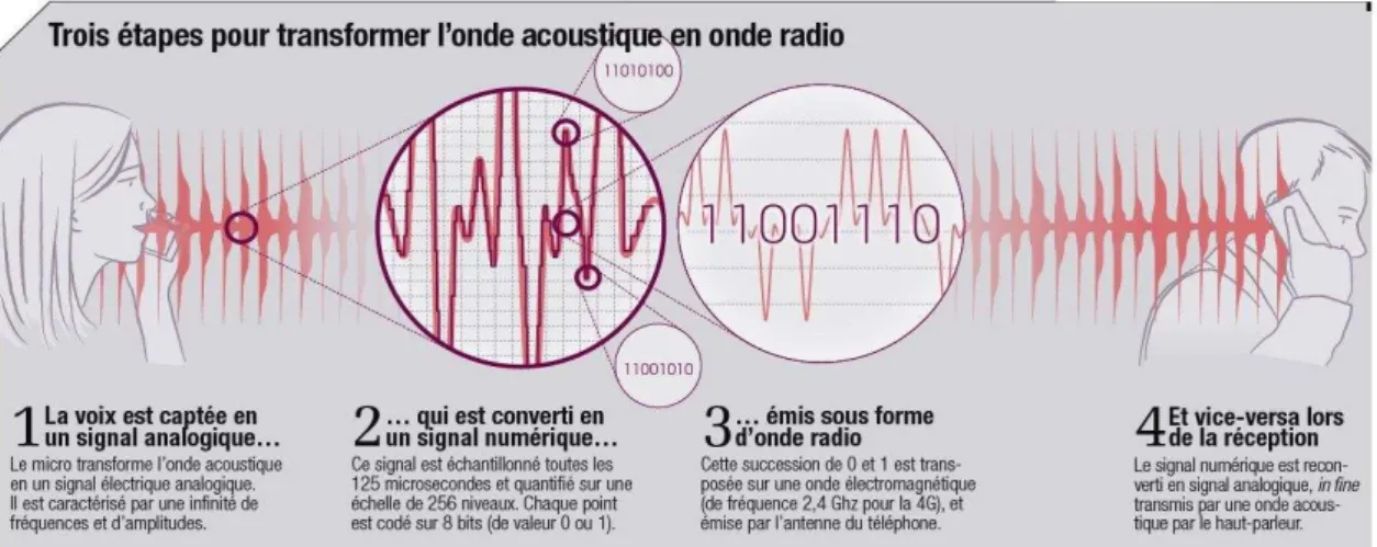 Figure 1.12  : La voix 