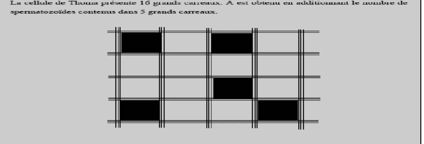 Fig. N°05 : Description et utilisation d’une cellule de Thomas (Posiere, 2002). 