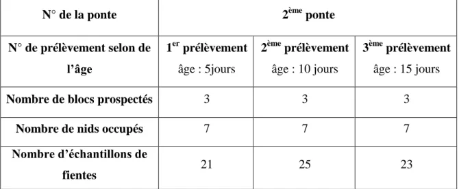 Tableau 03: Plan de l’échantillonnage. 