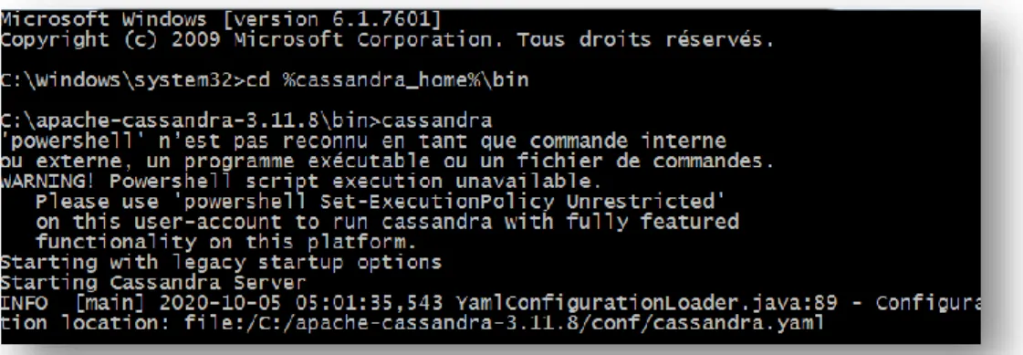 Figure 4.4 - Open the service cassandra.bat. 