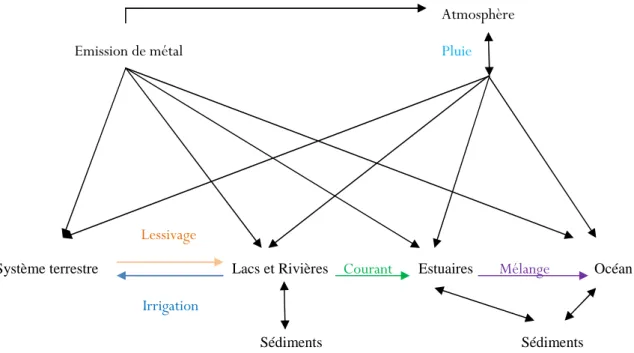 Figure I.1 : Voies permettant le transport des éléments traces métalliques dans  l'environnement 