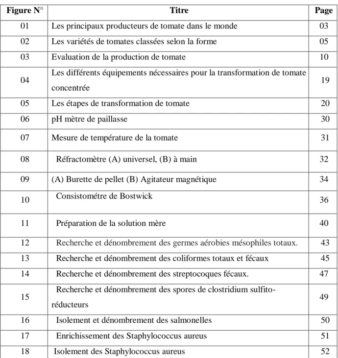 Figure N°  Titre  Page 