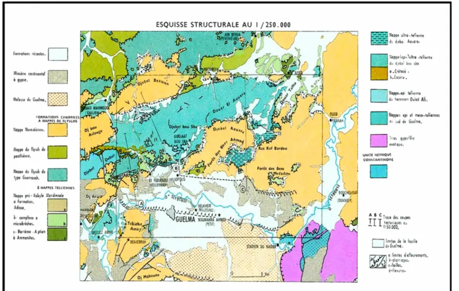 Fig. 4. Carte géologique de la région de Guelma.  Extraite  de la carte de géologie de Guelma  (Vila, 1980)