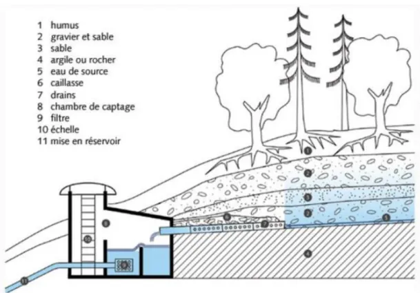 Figure I-2 : Captage direct de l’eau à partir d’une source  